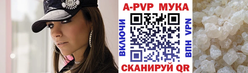 mega ссылка Стародуб А ПВП СК КРИС