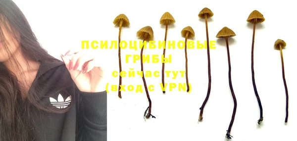 ECSTASY Алексеевка