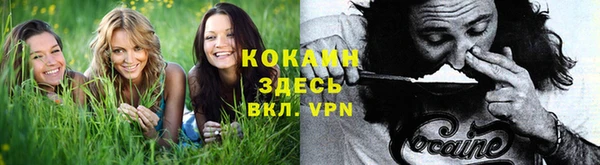 ECSTASY Алексеевка