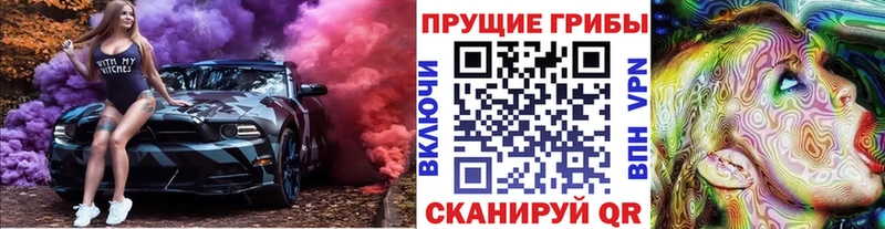 наркота  Стародуб  Галлюциногенные грибы ЛСД 